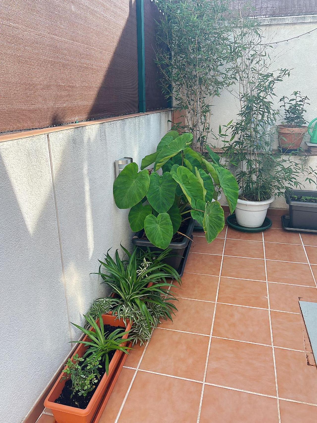 De Casa vacanze